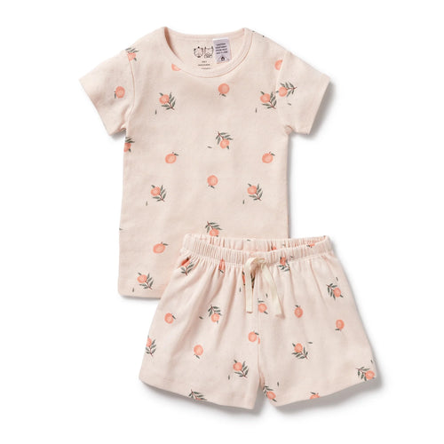 WILSON & FRENCHY PEACHES POINTELLE SHORT PJ'S