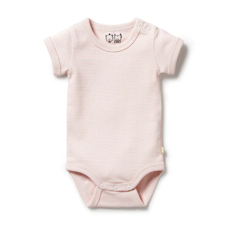 WILSON & FRENCHY ORGANIC STRIPE RIB BODYSUIT CANTALOUPE